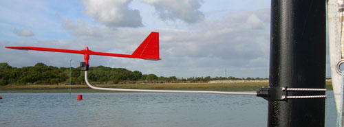 Burgee Flag Hawk race