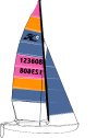 Hobie Cat 16 Easy