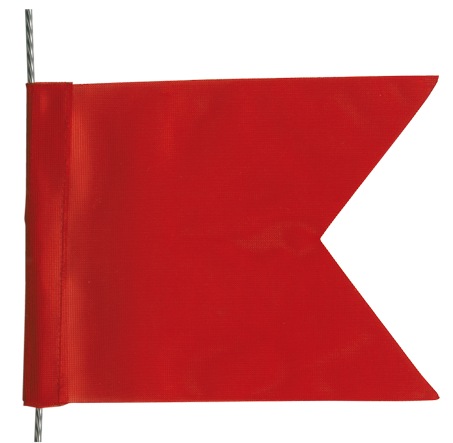 Protestflagge