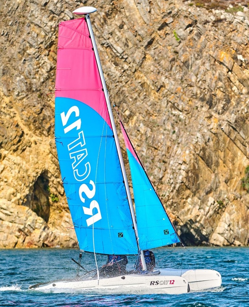 RS Cat 12