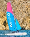 RS Cat 12