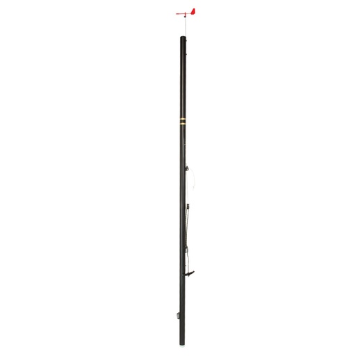 [EX902] Mast Optiparts Blackgold Lite incl. rigging pack